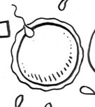 TOC: Sex